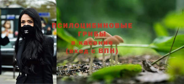 гашишное масло Богородицк