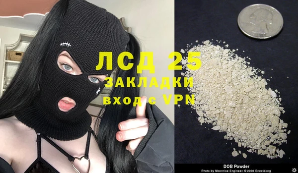 spice Богородск