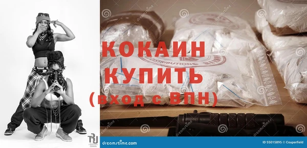 spice Богородск