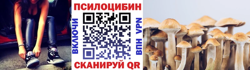 Псилоцибиновые грибы мицелий  Челябинск 